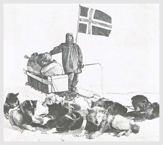 Samoyed across the South Pole with the Roald Amundsen Expedition