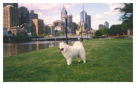 Strika - Yarra River, Melbourne Australia