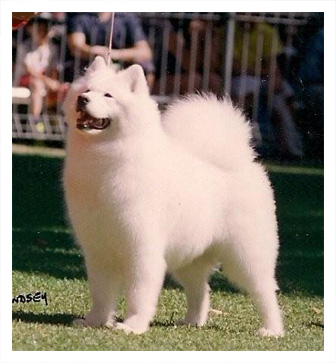 Kista Best in Show Sydney Royal 1994